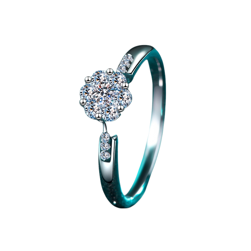 Hayesaura | Six-Around-One Cluster Moissanite Halo Ring in 18K White Gold