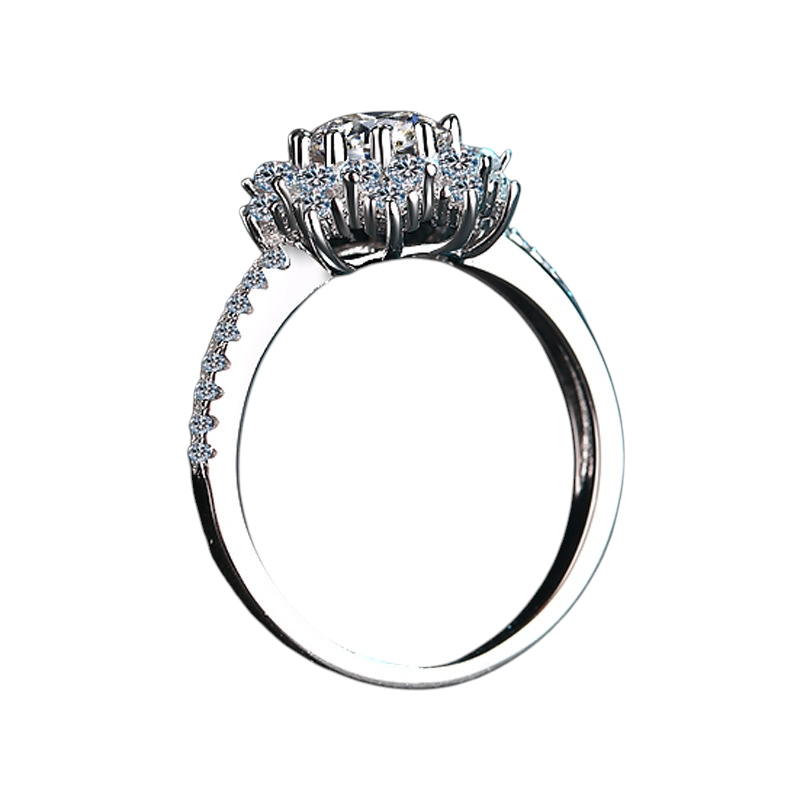 Hayesaura | Euro Luxury Heavy Cluster Moissanite Wedding Ring