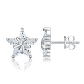 Hayesaura | Celestial Mystique Marquise Star Moissanite | Midnight Glamour Starlit Earrings