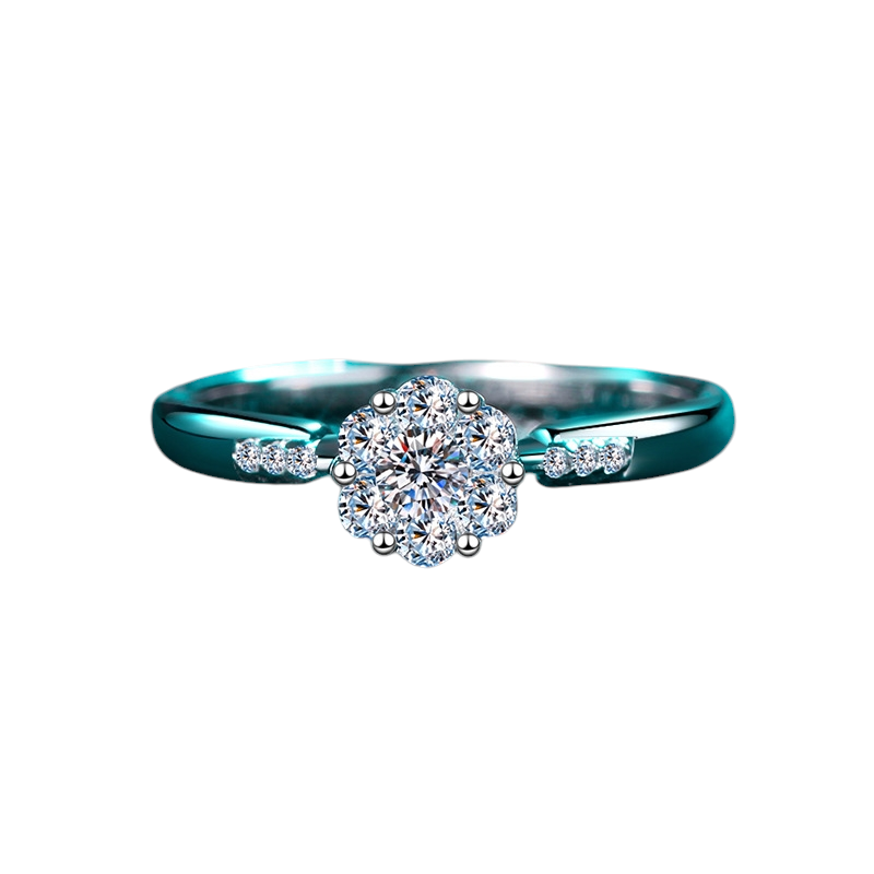 Hayesaura | Six-Around-One Cluster Moissanite Halo Ring in 18K White Gold