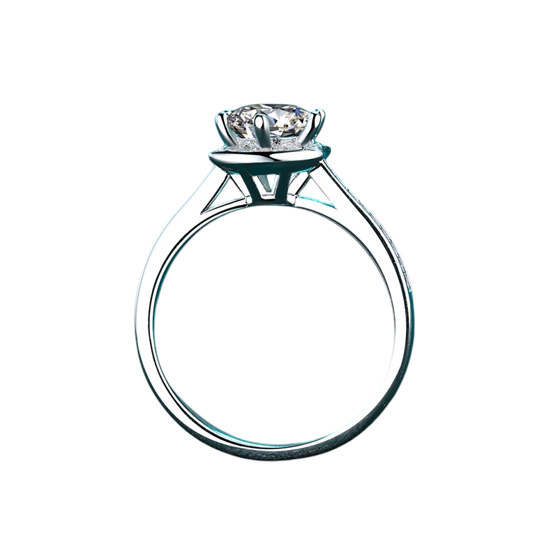 Hayesaura | Classic Six-Prong Celestial Starry Sky Moissanite Solitaire