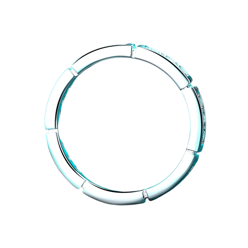 Hayesaura | Organic Bamboo Joint Moissanite Eternity Band