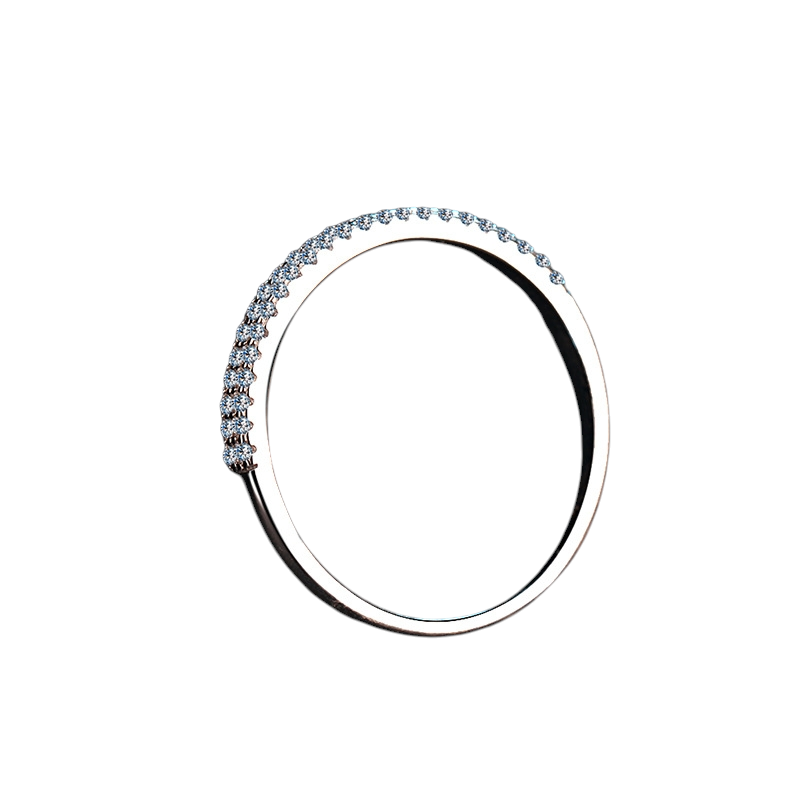 Hayesaura | Double-Row Pave Micro-Set Moissanite Eternity Band