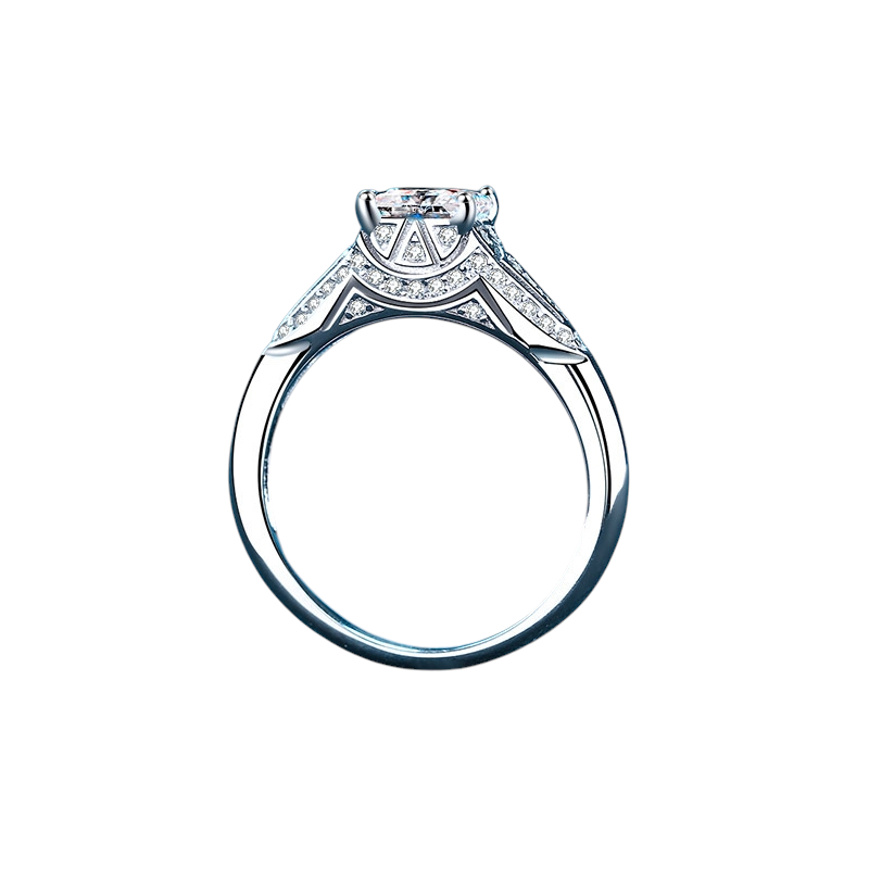 Hayesaura | Princess Square Cut High-Cold Moissanite Solitaire