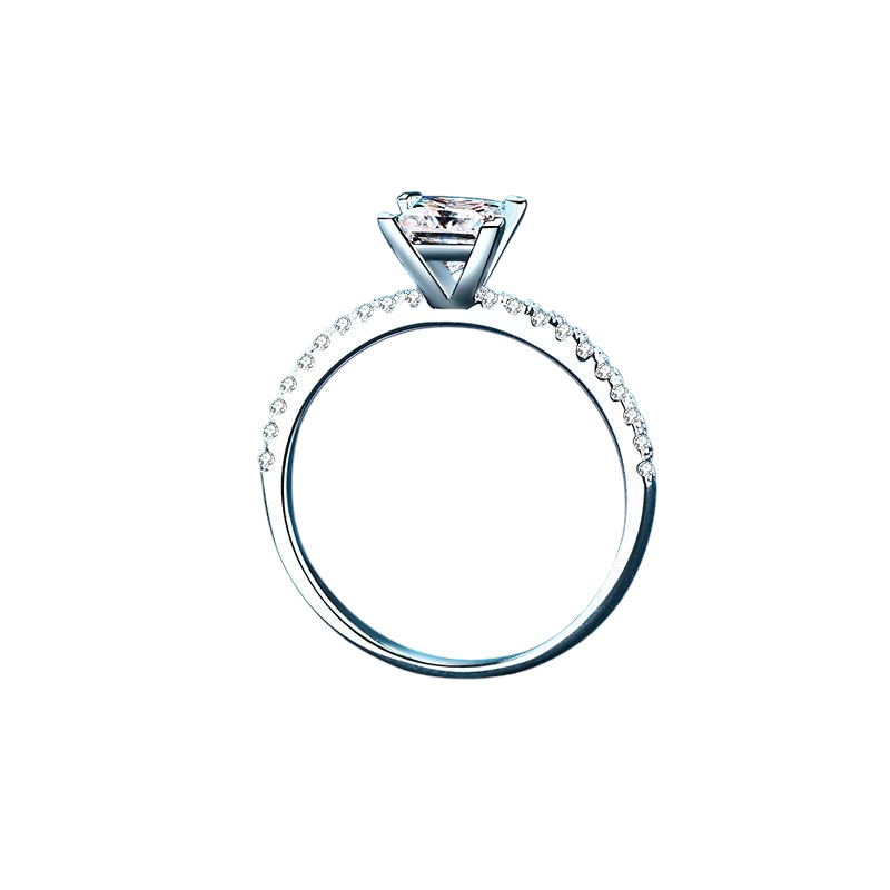 Hayesaura | Micro-Pave Heteromorphic Princess Square Moissanite Ring