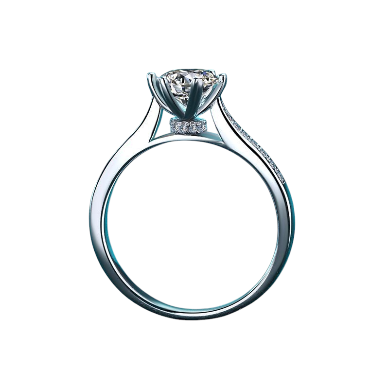 Hayesaura | Rotatable Six-Prong Spinner Anti-Anxiety Moissanite Ring