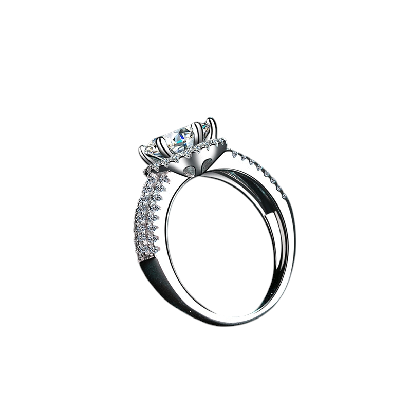Hayesaura | Royal Archive Six-Prong Moissanite Wedding Ring | High-End Bridal Proposal Ring