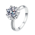Hayesaura | Plum Blossom Micro-Pave Moissanite Wedding Ring